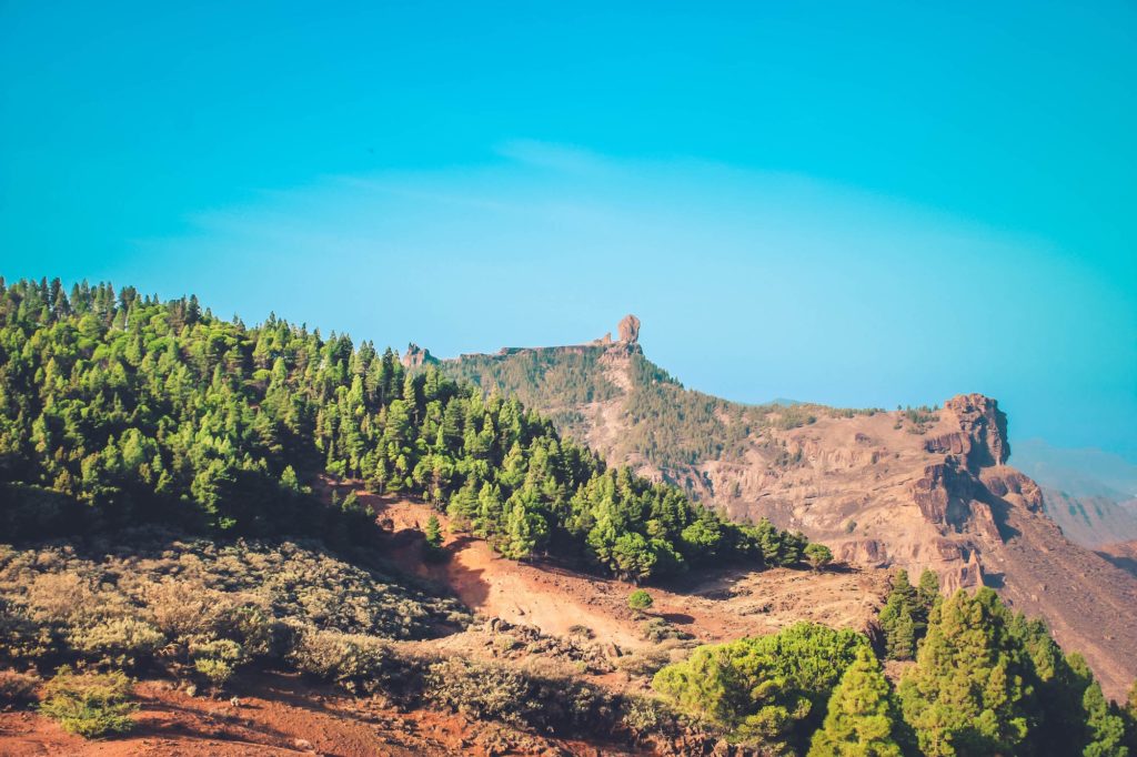 Conservación del territorio