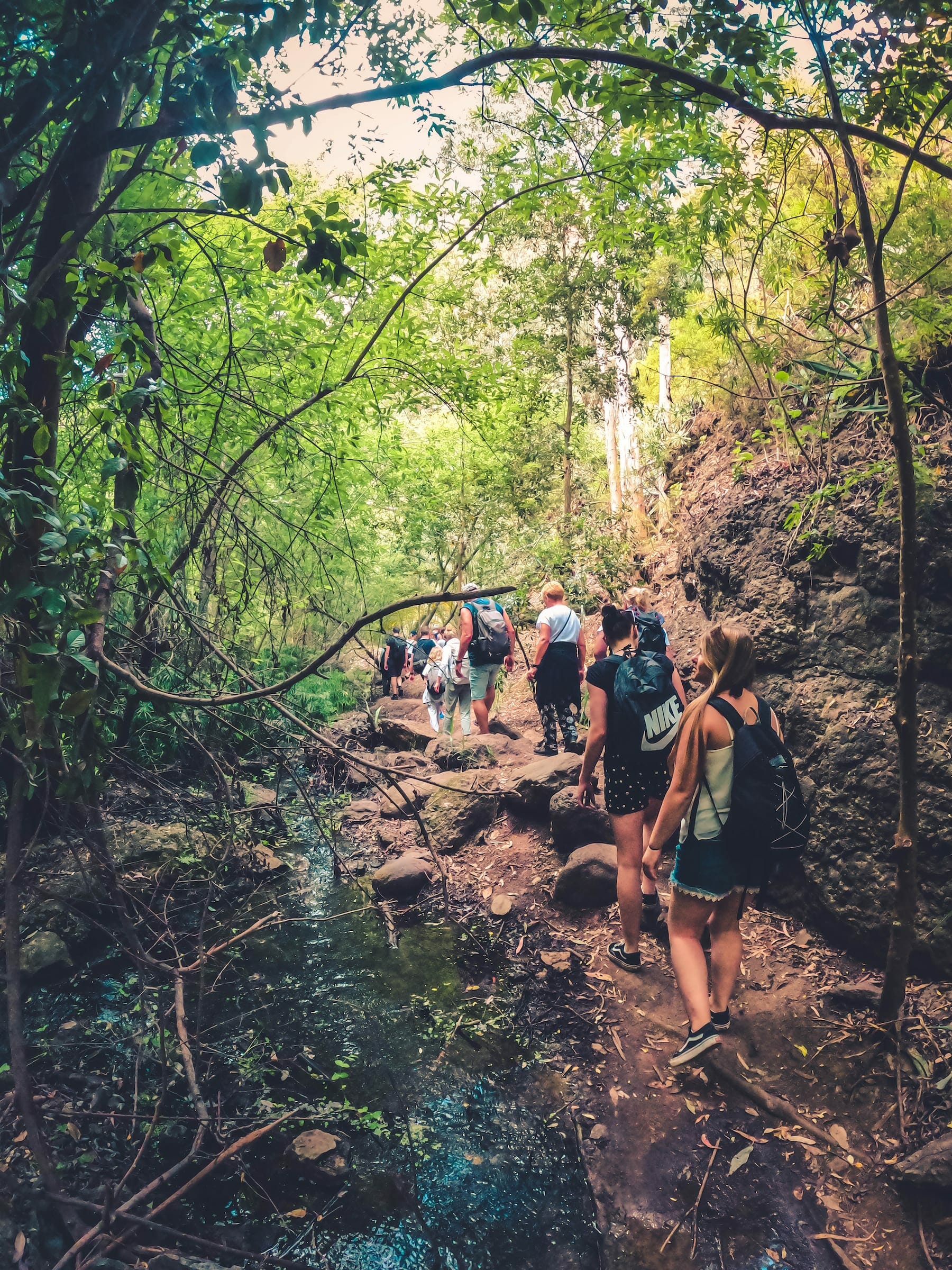 The Rainforest Tour by Climbo - Hiking