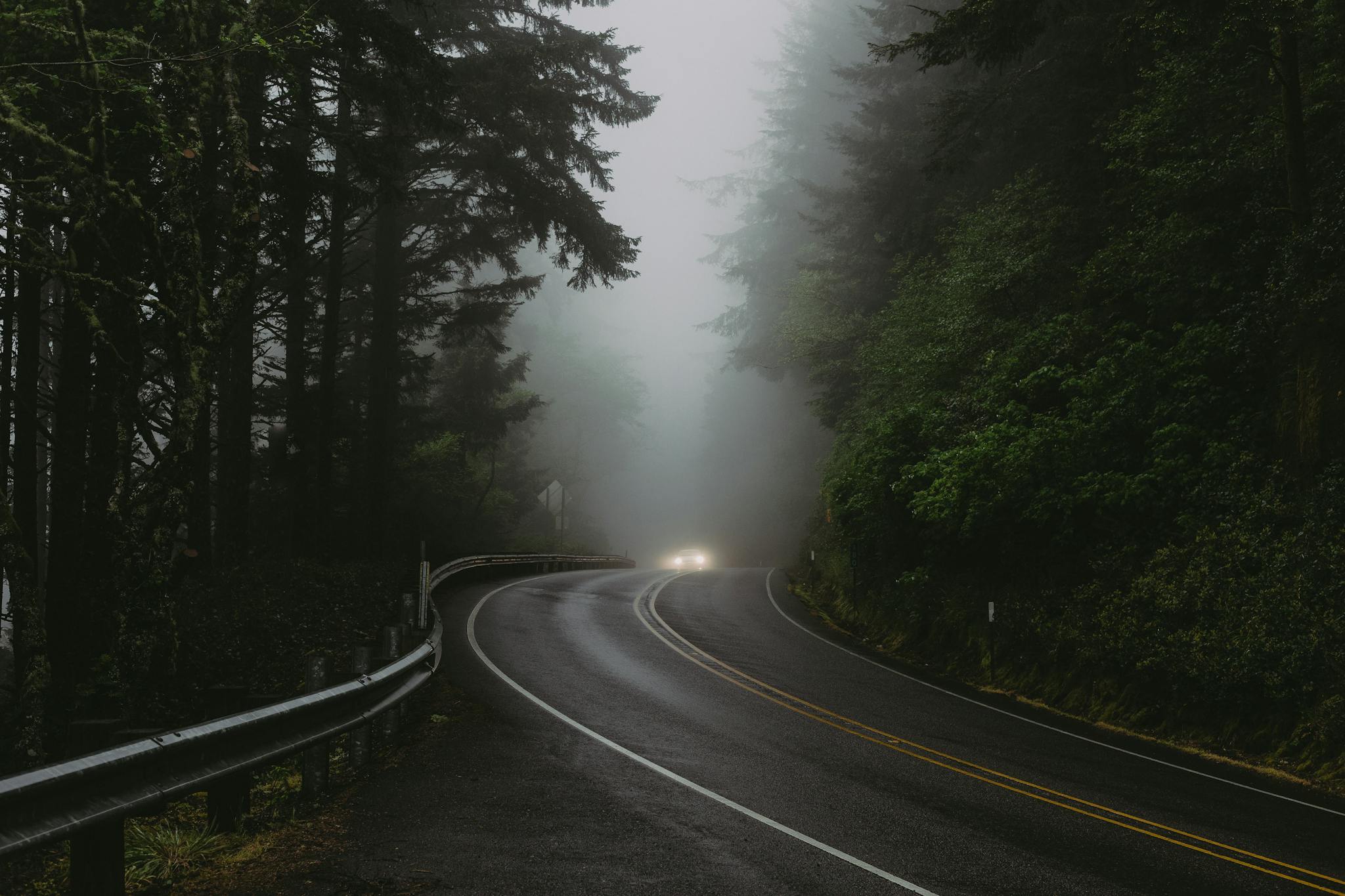 A foggy drive through a winding forest road in Oregon, capturing serene nature and tranquil travel vibes.